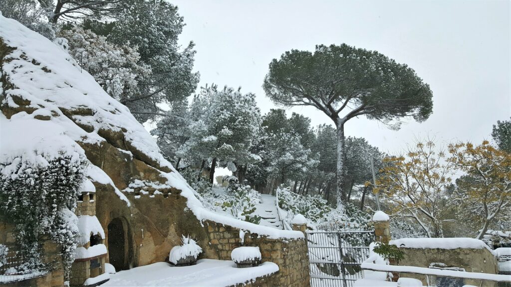 Masseria Rossignolo 16