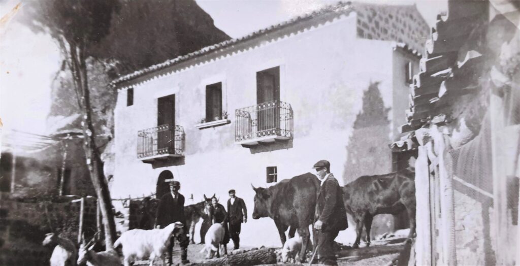 Masseria Rossignolo 6