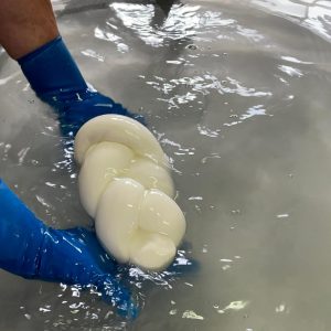 Mozzarelle di bufala 2